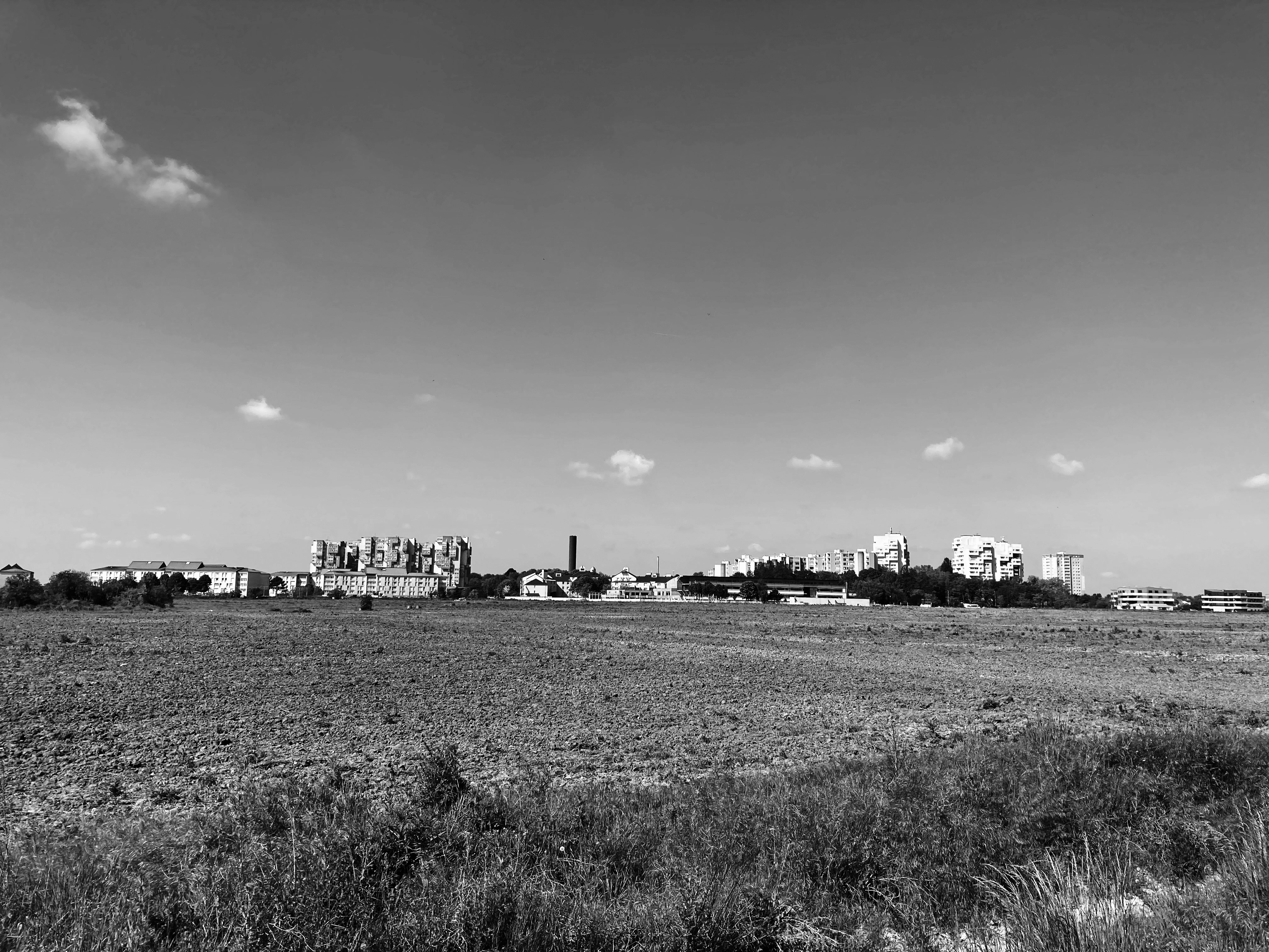 Le champ de la plaine Montceleux en friche : vue sur le quartier Pont-Blanc. Photo : Clémence Seurat (2022).